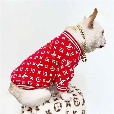 louis vuitton dog supplies